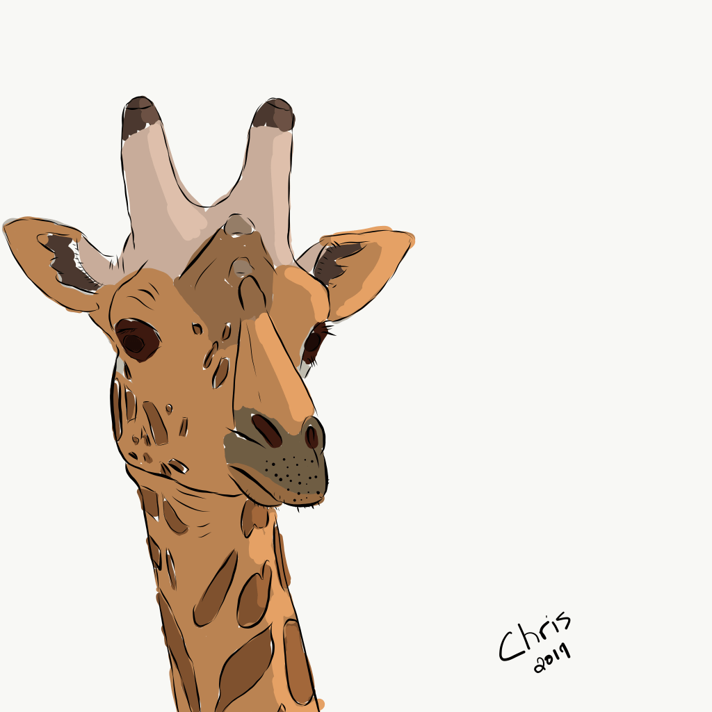 giraffe